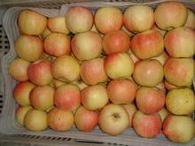 嘎啦蘋果高清圖片與運城市農(nóng)副產(chǎn)品銷售公司介紹