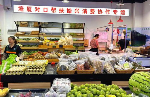 韶關(guān)始興百種優(yōu)質(zhì)農(nóng)副產(chǎn)品直達東莞塘廈，打開食品銷售新篇章