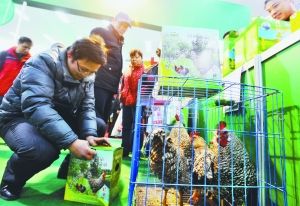 農(nóng)副產(chǎn)品直銷展銷會 800多種產(chǎn)品引近萬市民“血拼”