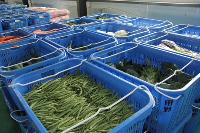 “田野菜籃子” 上海田野農副產品配送服務的創新實踐與價值