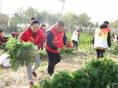 希望的田野 青春助力脫貧攻堅，志愿服務與食品銷售的雙贏之路