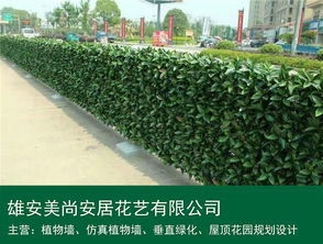仿真植物墻 雄安美尚安居景觀工程的設計、施工與價格指南